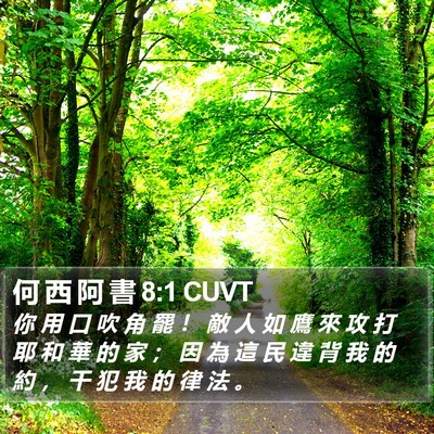 何 西 阿 書 8:1 CUVT Bible Verse Image
