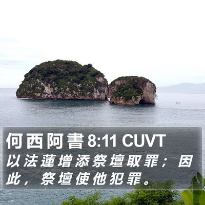 何 西 阿 書 8:11 CUVT Bible Verse Image