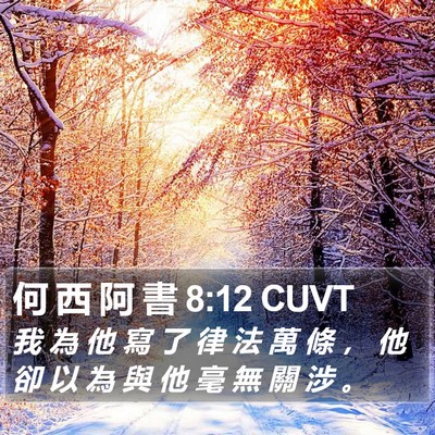 何 西 阿 書 8:12 CUVT Bible Verse Image