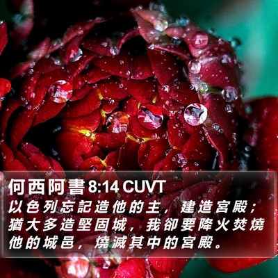 何 西 阿 書 8:14 CUVT Bible Verse Image