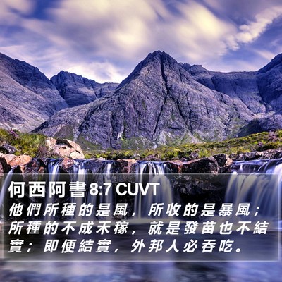 何 西 阿 書 8:7 CUVT Bible Verse Image