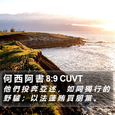 何 西 阿 書 8:9 CUVT Bible Verse Image