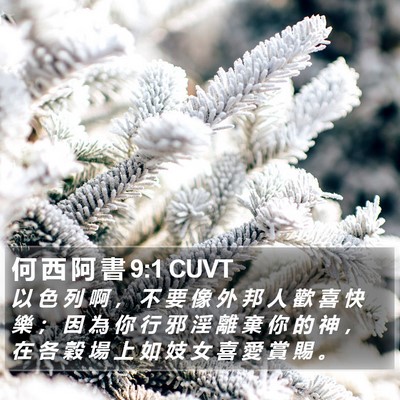 何 西 阿 書 9:1 CUVT Bible Verse Image