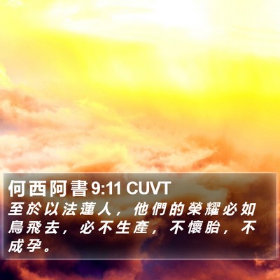 何 西 阿 書 9:11 CUVT Bible Verse Image