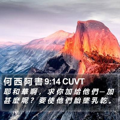 何 西 阿 書 9:14 CUVT Bible Verse Image