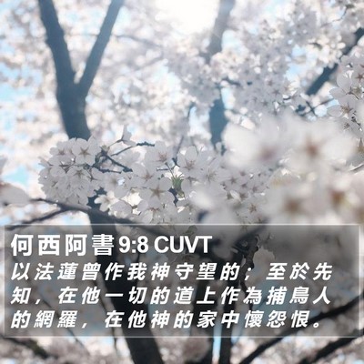 何 西 阿 書 9:8 CUVT Bible Verse Image