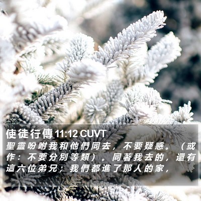 使 徒 行 傳 11:12 CUVT Bible Verse Image