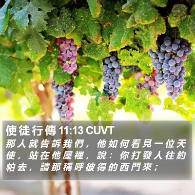 使 徒 行 傳 11:13 CUVT Bible Verse Image