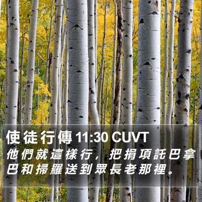 使 徒 行 傳 11:30 CUVT Bible Verse Image