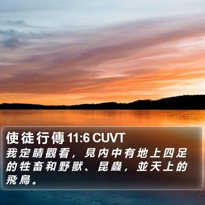使 徒 行 傳 11:6 CUVT Bible Verse Image