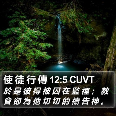 使 徒 行 傳 12:5 CUVT Bible Verse Image