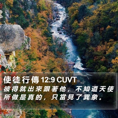 使 徒 行 傳 12:9 CUVT Bible Verse Image