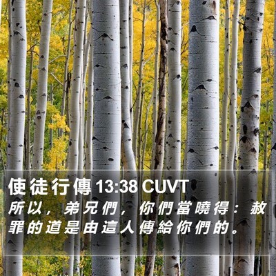 使 徒 行 傳 13:38 CUVT Bible Verse Image