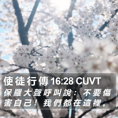 使 徒 行 傳 16:28 CUVT Bible Verse Image