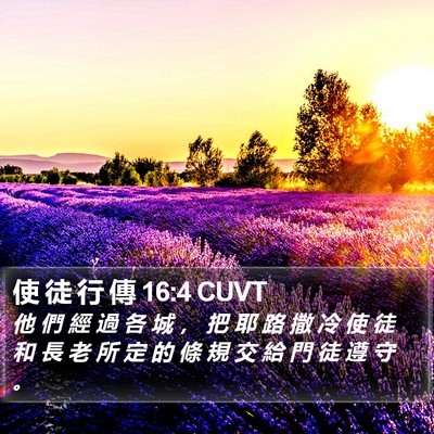 使 徒 行 傳 16:4 CUVT Bible Verse Image