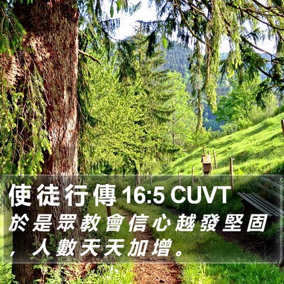 使 徒 行 傳 16:5 CUVT Bible Verse Image