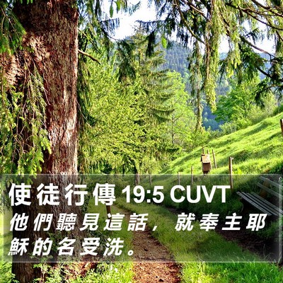 使 徒 行 傳 19:5 CUVT Bible Verse Image