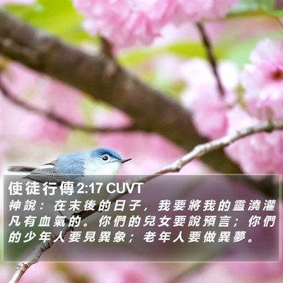 使 徒 行 傳 2:17 CUVT Bible Verse Image