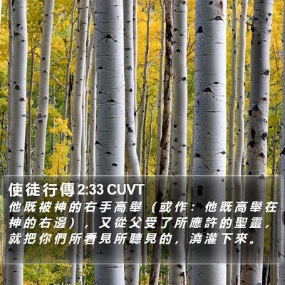 使 徒 行 傳 2:33 CUVT Bible Verse Image