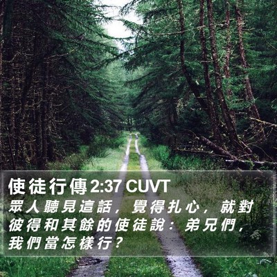 使 徒 行 傳 2:37 CUVT Bible Verse Image