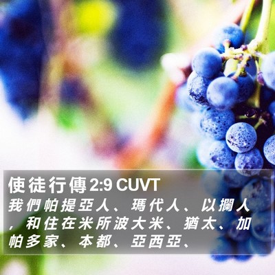使 徒 行 傳 2:9 CUVT Bible Verse Image