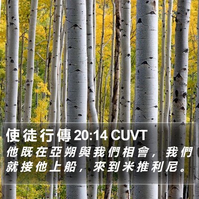 使 徒 行 傳 20:14 CUVT Bible Verse Image