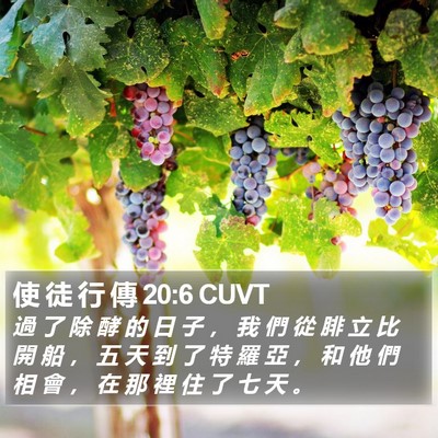 使 徒 行 傳 20:6 CUVT Bible Verse Image