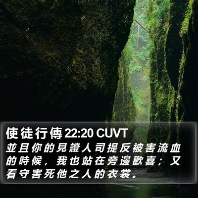 使 徒 行 傳 22:20 CUVT Bible Verse Image