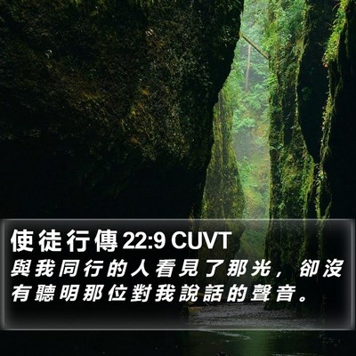 使 徒 行 傳 22:9 CUVT Bible Verse Image