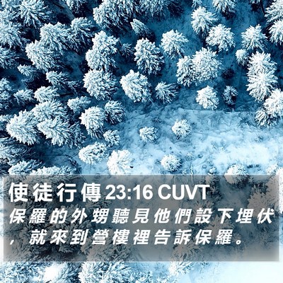 使 徒 行 傳 23:16 CUVT Bible Verse Image