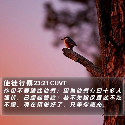 使 徒 行 傳 23:21 CUVT Bible Verse Image