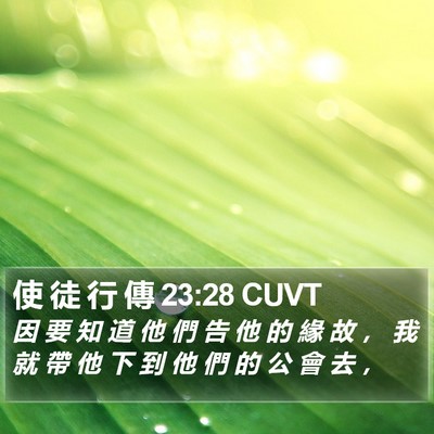 使 徒 行 傳 23:28 CUVT Bible Verse Image