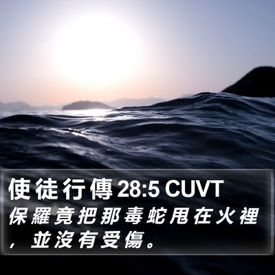 使 徒 行 傳 28:5 CUVT Bible Verse Image