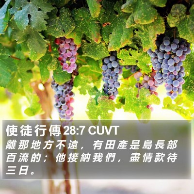 使 徒 行 傳 28:7 CUVT Bible Verse Image