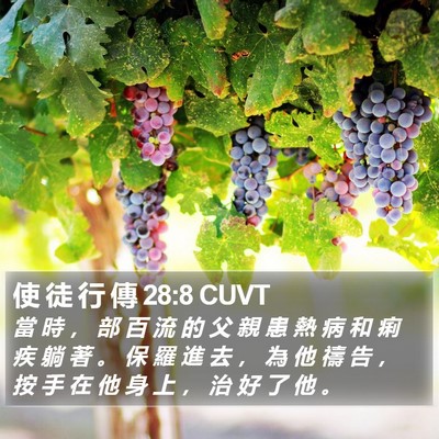 使 徒 行 傳 28:8 CUVT Bible Verse Image