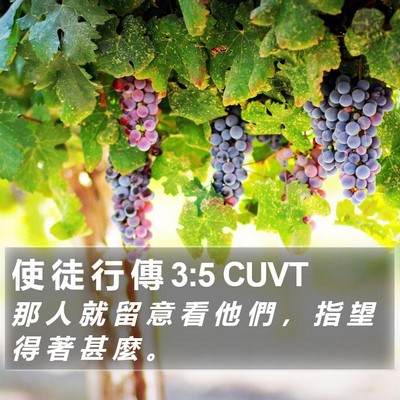 使 徒 行 傳 3:5 CUVT Bible Verse Image