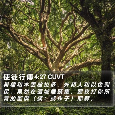 使 徒 行 傳 4:27 CUVT Bible Verse Image