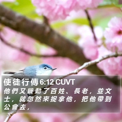 使 徒 行 傳 6:12 CUVT Bible Verse Image