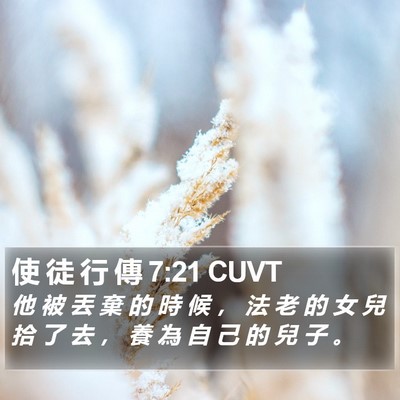 使 徒 行 傳 7:21 CUVT Bible Verse Image