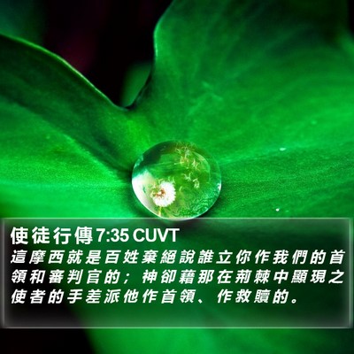 使 徒 行 傳 7:35 CUVT Bible Verse Image