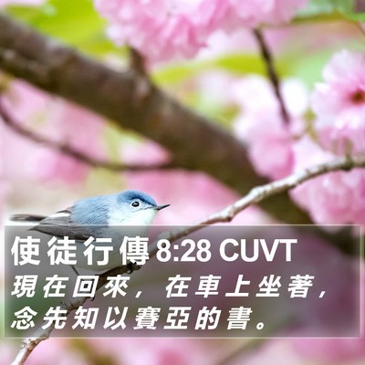 使 徒 行 傳 8:28 CUVT Bible Verse Image