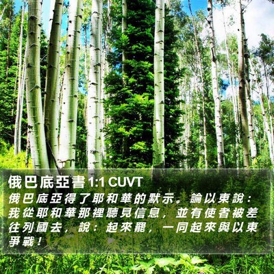 俄 巴 底 亞 書 1:1 CUVT Bible Verse Image