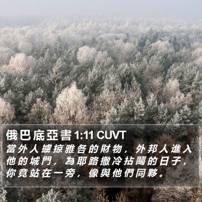 俄 巴 底 亞 書 1:11 CUVT Bible Verse Image