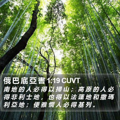 俄 巴 底 亞 書 1:19 CUVT Bible Verse Image