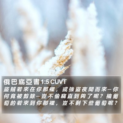 俄 巴 底 亞 書 1:5 CUVT Bible Verse Image