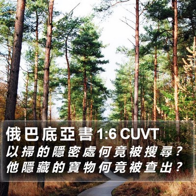 俄 巴 底 亞 書 1:6 CUVT Bible Verse Image
