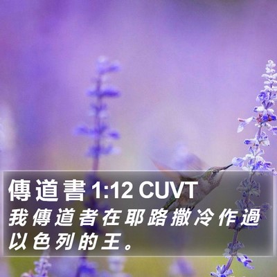 傳 道 書 1:12 CUVT Bible Verse Image