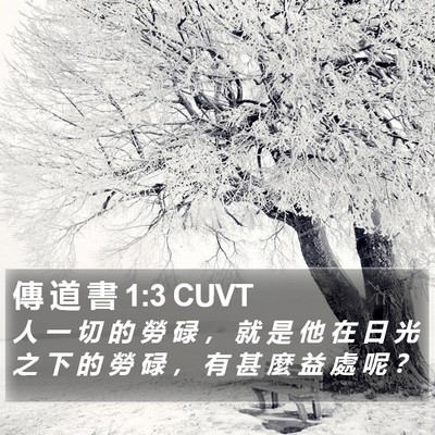 傳 道 書 1:3 CUVT Bible Verse Image