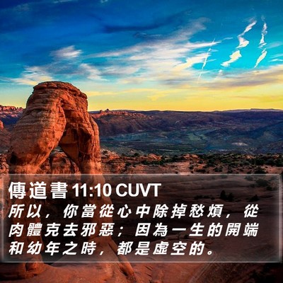傳 道 書 11:10 CUVT Bible Verse Image