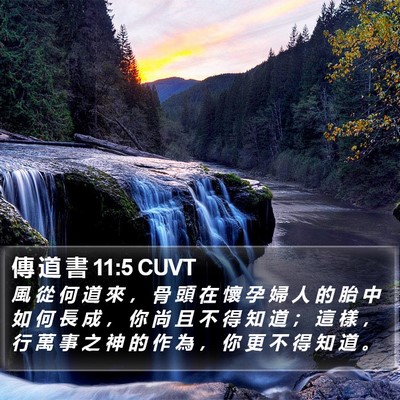 傳 道 書 11:5 CUVT Bible Verse Image